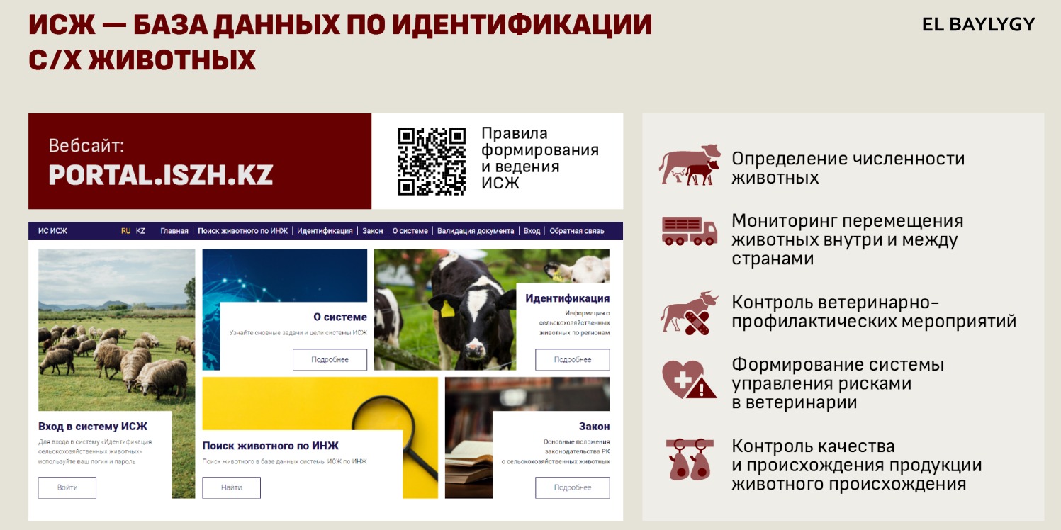 Порядок ведения базы данных ИСЖ